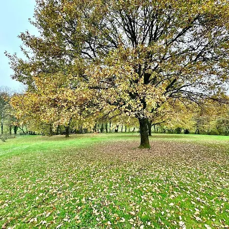 Au D'aurélie * Chagny (Ardennes)