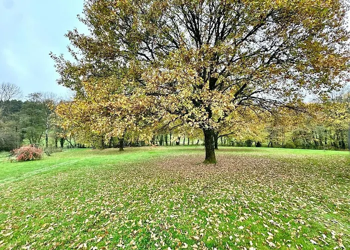 Au D'aurélie * Chagny (Ardennes)